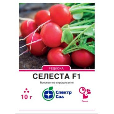 Селеста  F1 редиска рання 2г СПЕКТР